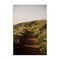 Stupell Industries Path by Beach Coast Canvas Wall Art Design by Crystal Lynn Collins